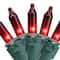 100ct. Mini Christmas String Lights with Green Wire